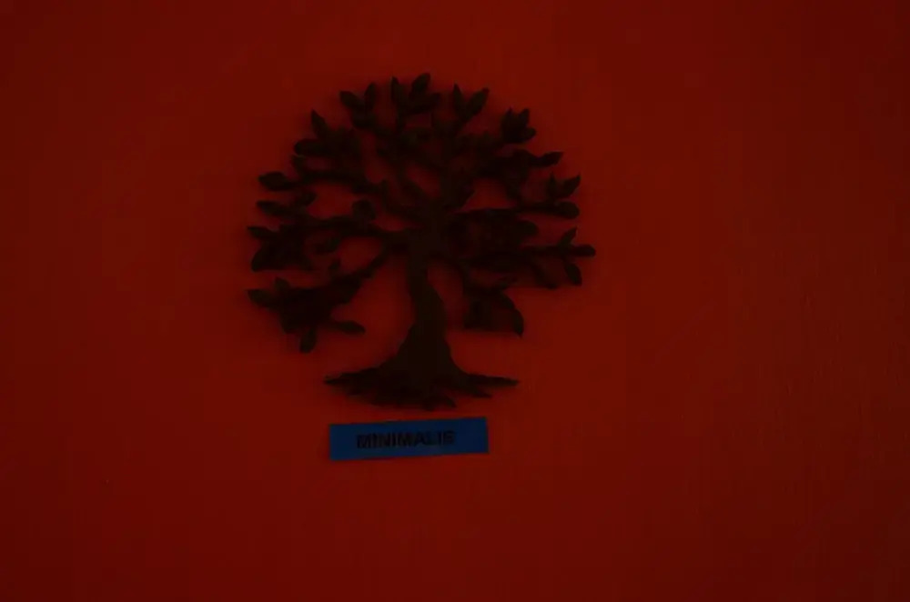 Yogi hostels