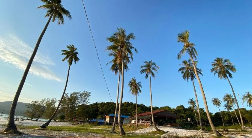Coconut Boulevard Guesthouse