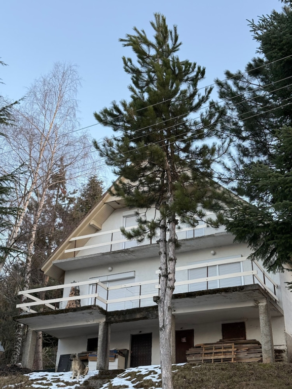 Mavrovo Lake View Chalet