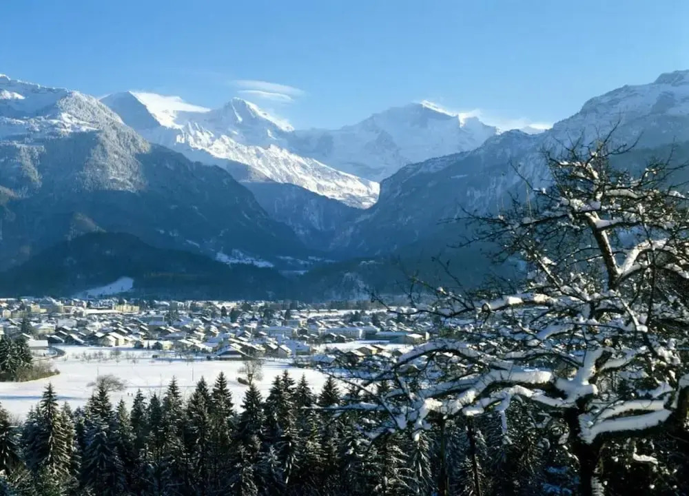 Pristine Home in a Charming Village, Large Grassy Sunbathing Area, View of the Mönch and Jungfrau