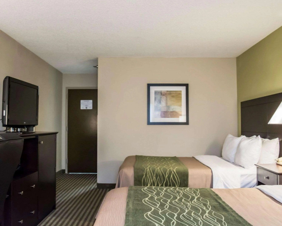 Comfort Inn & Suites St Pete - Clearwater International Airport