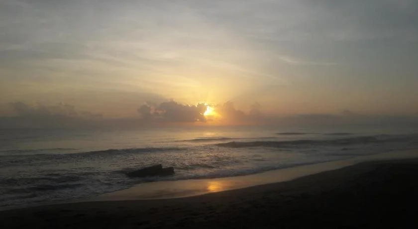 Blue Whale Nilaveli