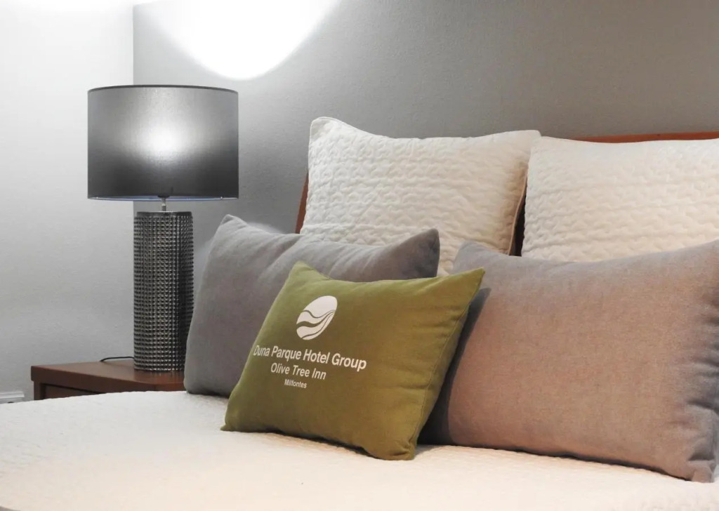 Milfontes Guest House - Duna Parque Group