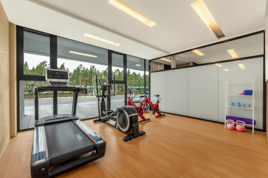 Holiday Inn Express Beijing Airport Zone by IHG