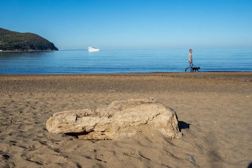 "luxury House In Populonia Above The Sea"