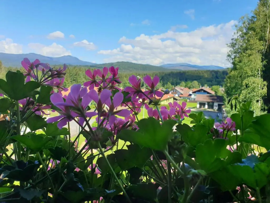 Haus Bergblick
