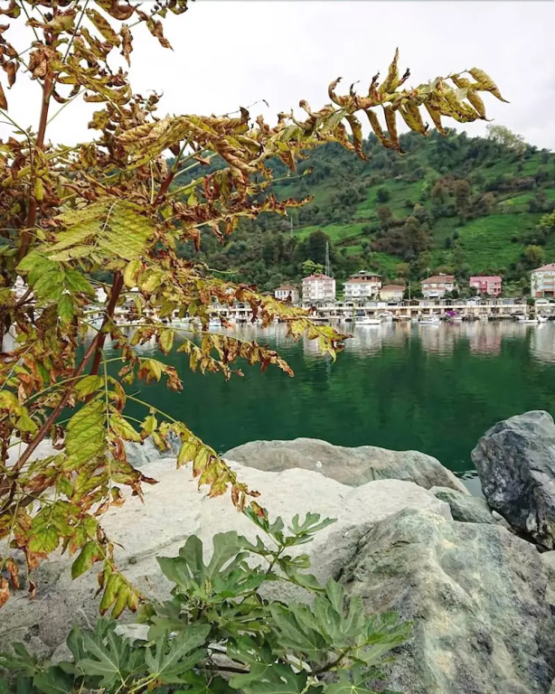 Laz Evi Pansiyon