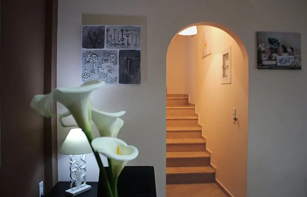Elina's House