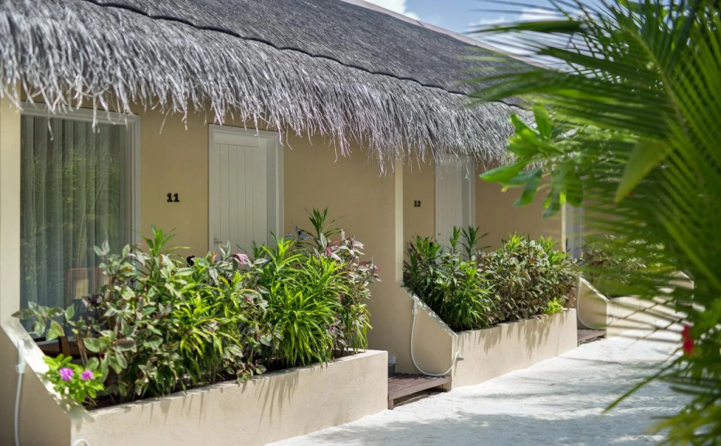 Tropical Village