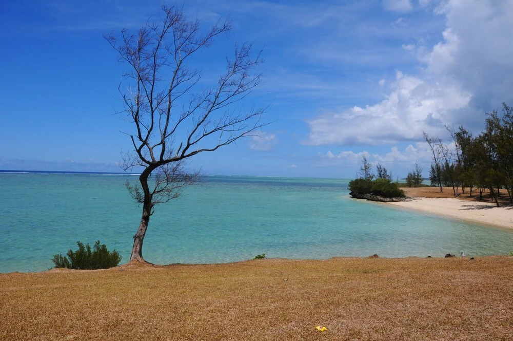 The Kiter's Nest