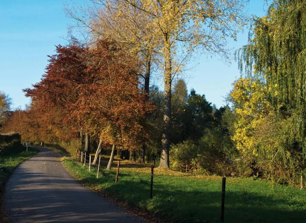 Vakantiewoning Buitenrijk