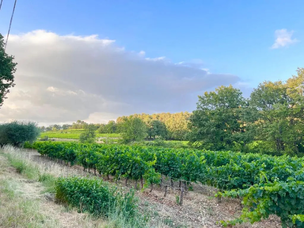 T2 avec terrasse arborée proche LOURMARIN