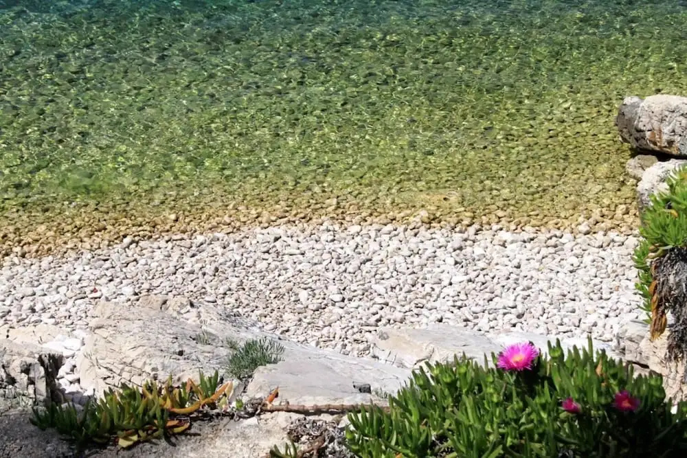 Sea View - 7 m From Beach - A1