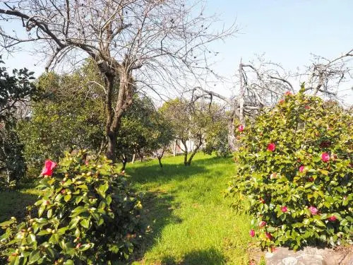 Quinta Drº Amarante