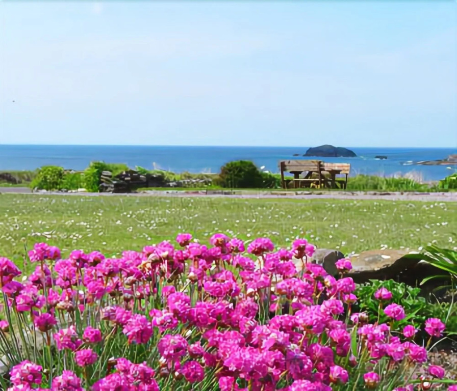 Gorman's Clifftop House