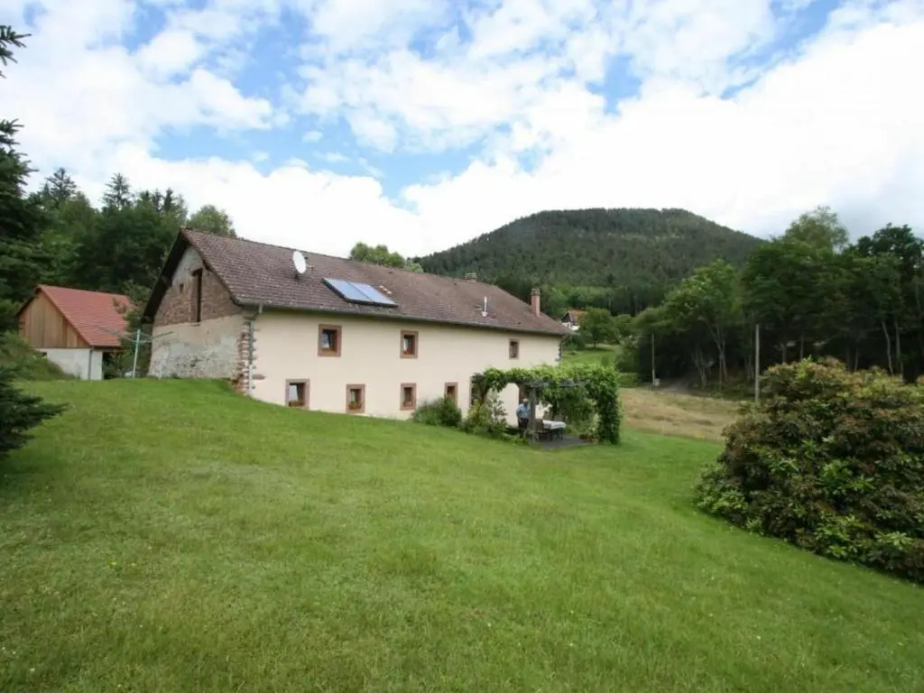 Grande Ferme Rénovée avec Jardin, Terrasse et Sentiers à Proximité - Vosges - FR-1-589-232