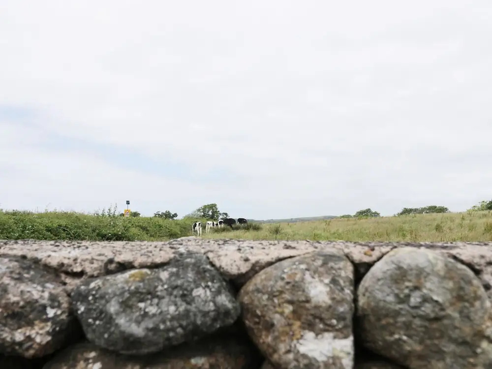 1 Park Nook Close