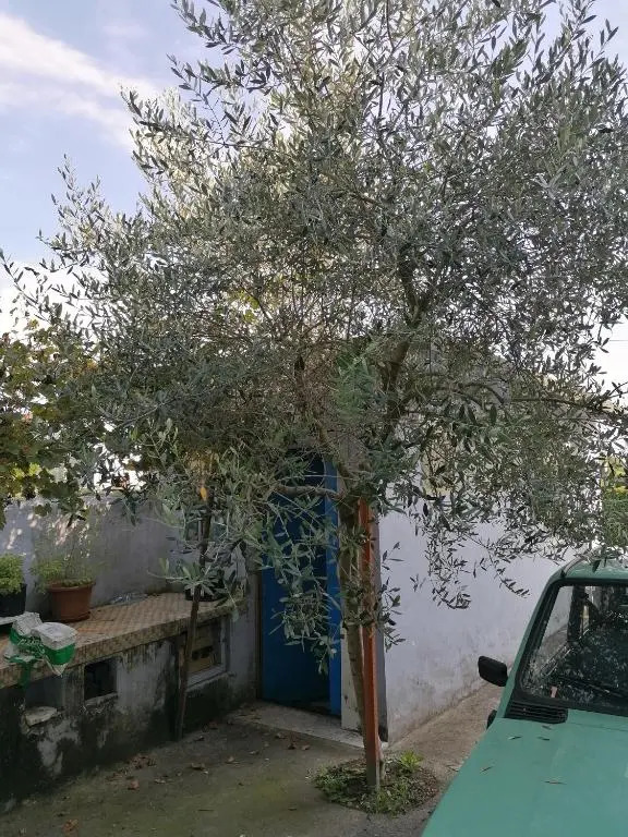 Casa Beatrice