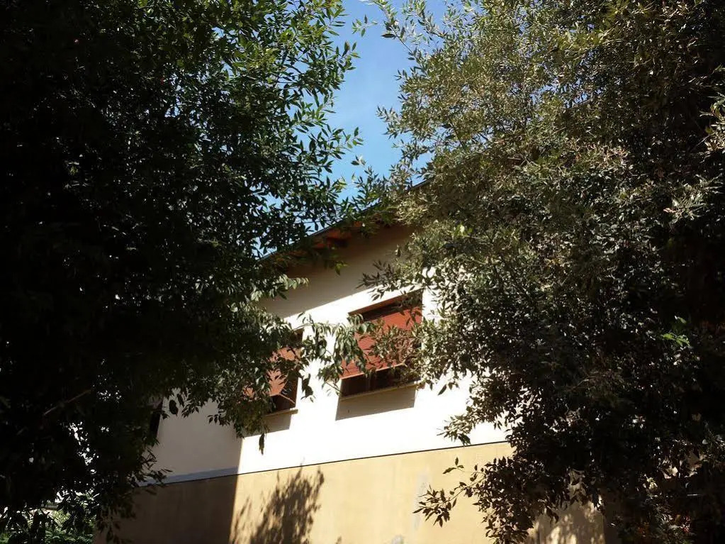 LAcchiappasogni