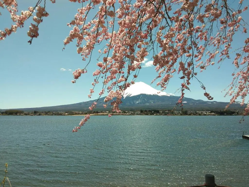 宝栄 villas lakeside