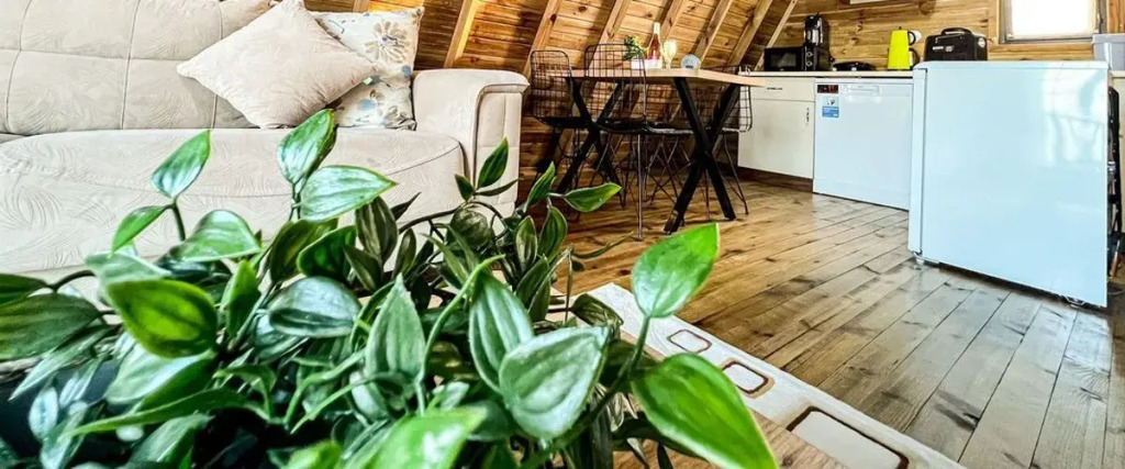 Asli Bungalow