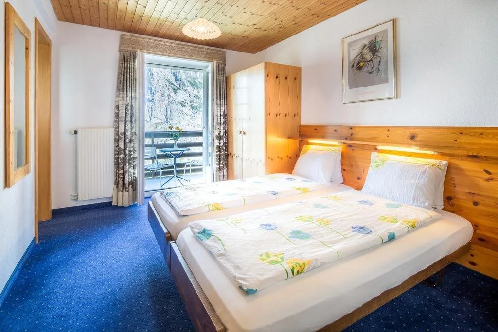 Hotel Alpina