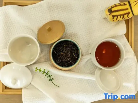Wuzhen Xizha Jiuj Residence Homestay