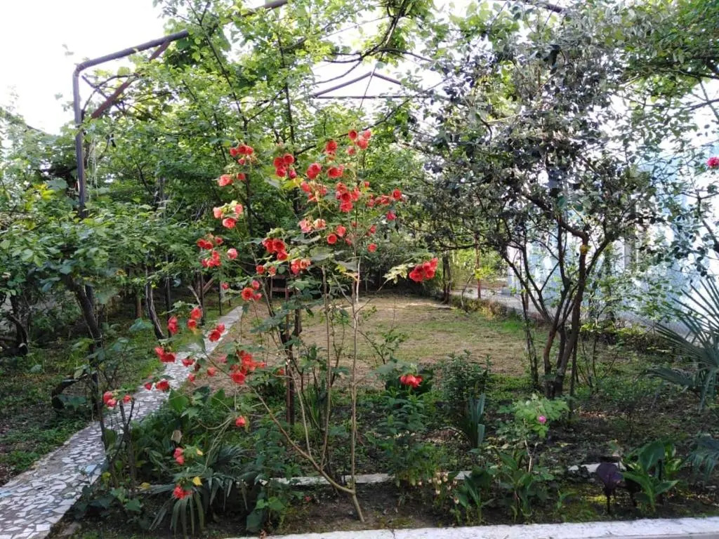 Shota Apartment