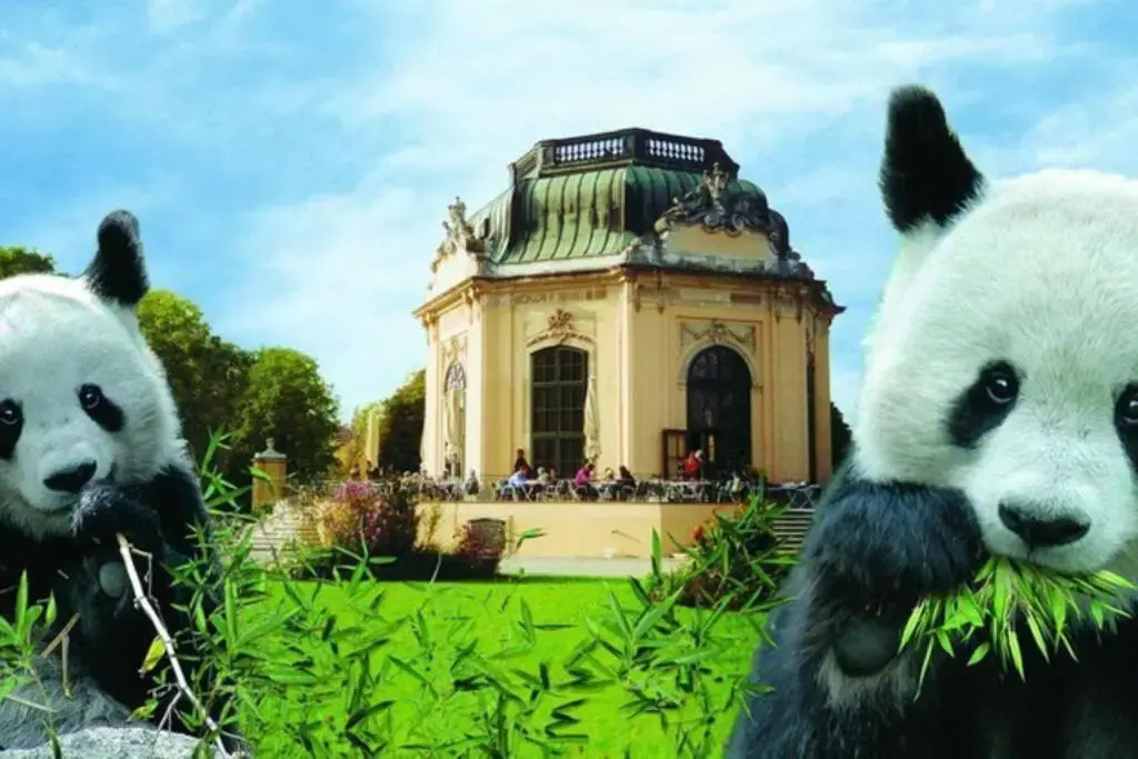 Zwischen Schönbrunn und dem City Center. Apt. 23