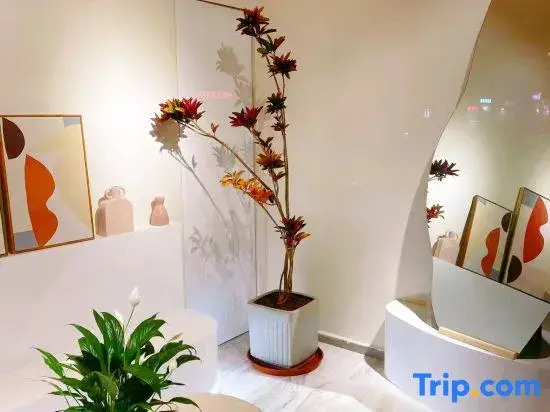 Lu'er Preferred Apartment (Chenqiao Branch)