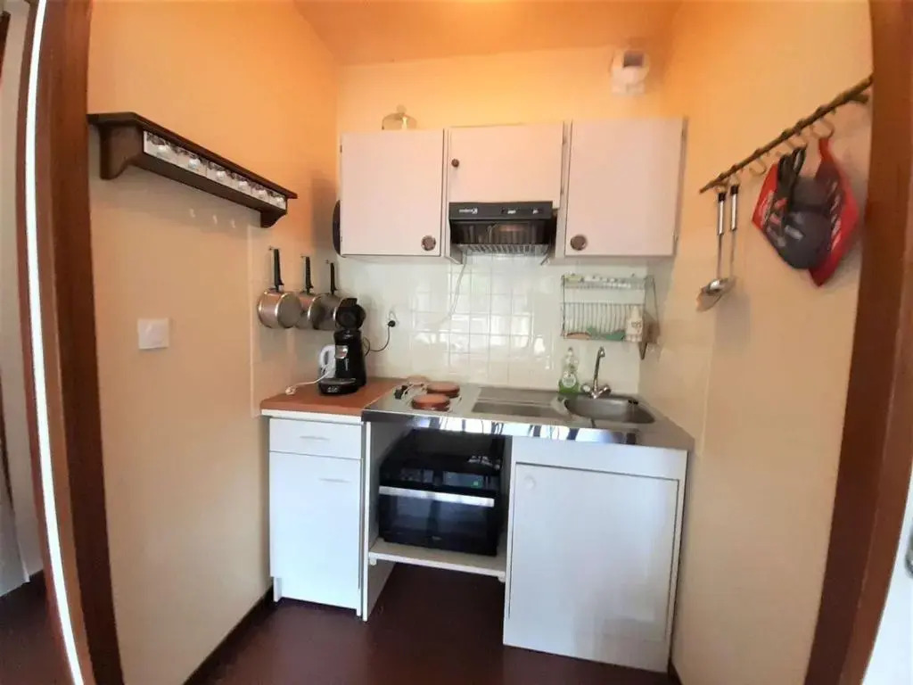 Studio Saint-Lary-Soulan, 1 pièce, 4 personnes - FR-1-457-305