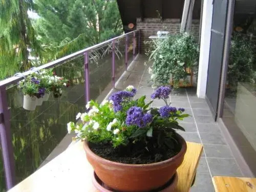 Ferienwohnung Virginija