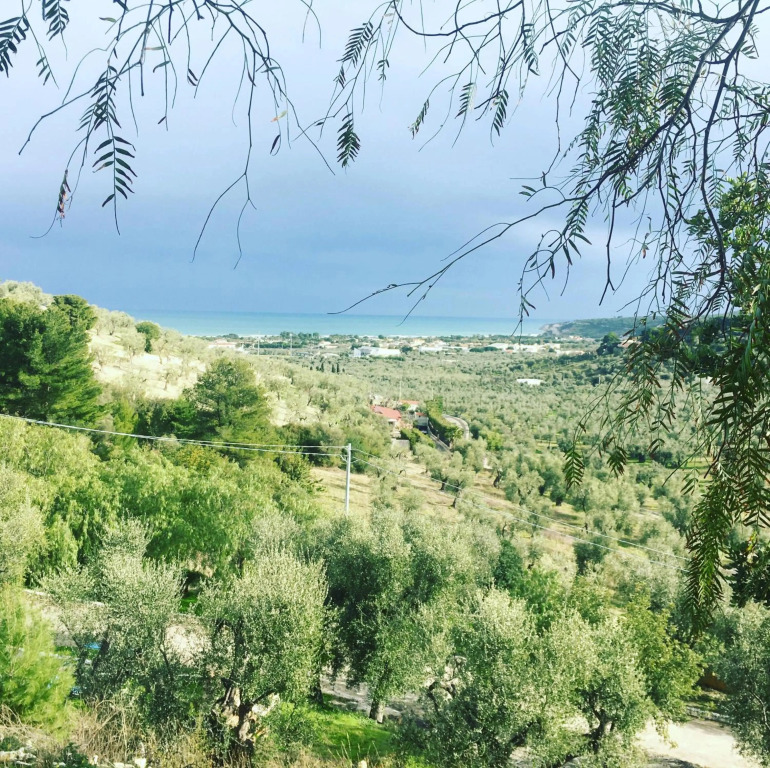 La Corte del Sole