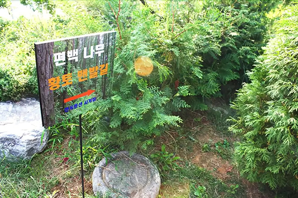 Asan Four Season Hanok Pension