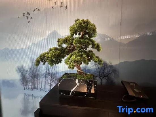 Citilink Oasis Liupanshui