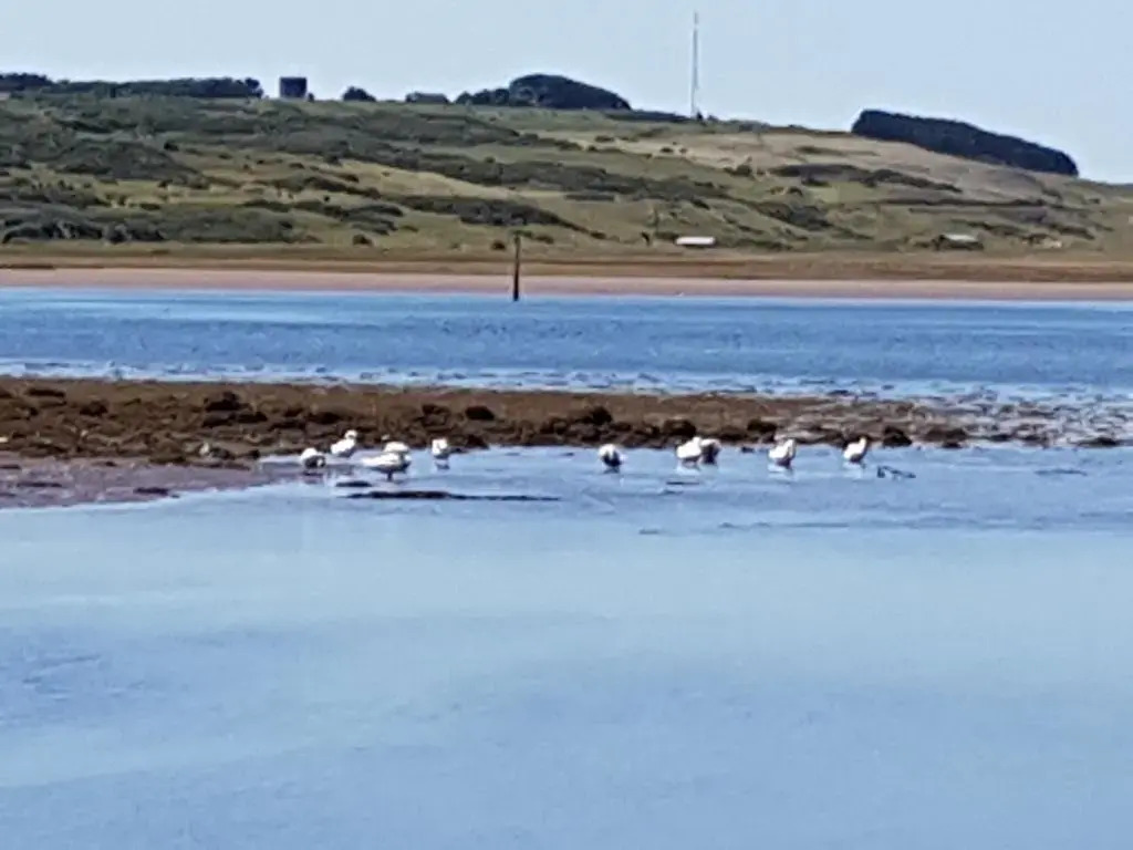 Channel View