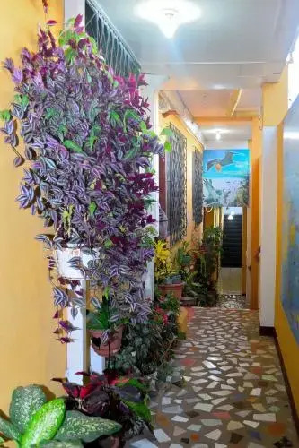 Tintorera Guest House
