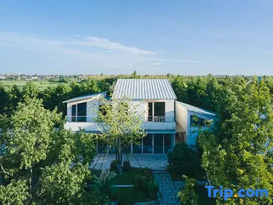 Stray Birds Resort