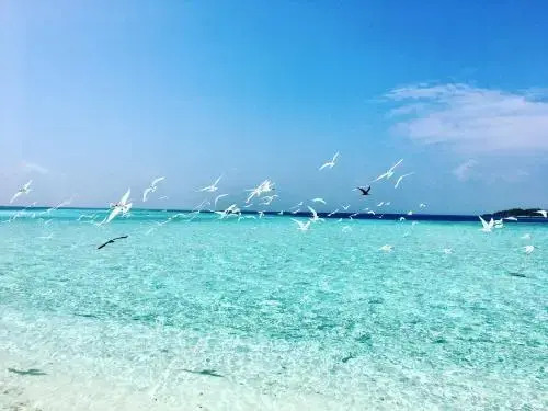Met House