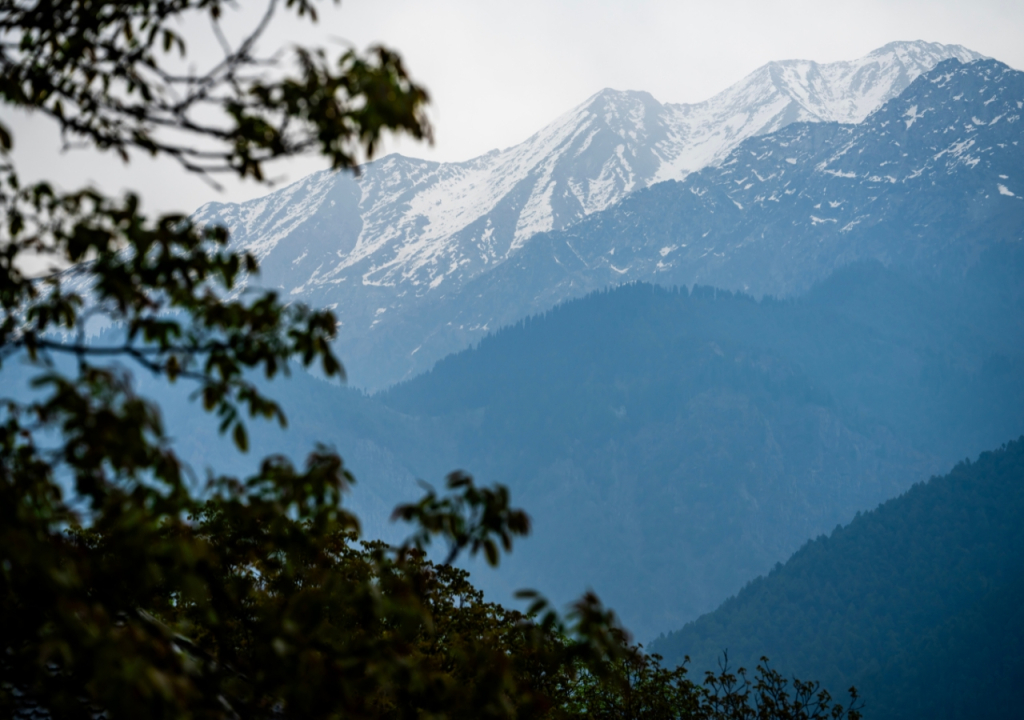 Moustache Pahalgam