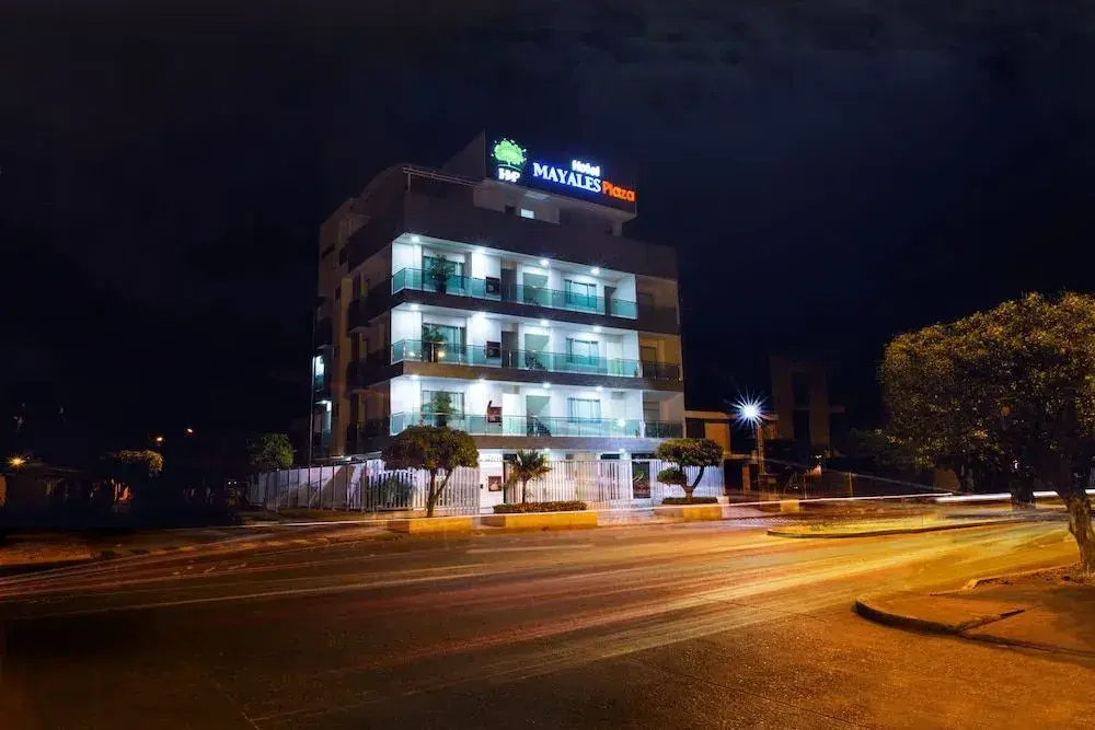 Hotel Mayales Plaza