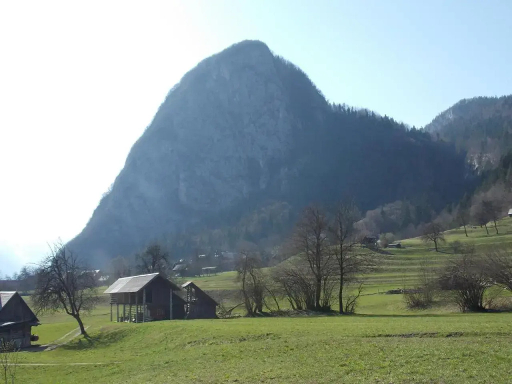 Apartmaji Pekovec Bohinj