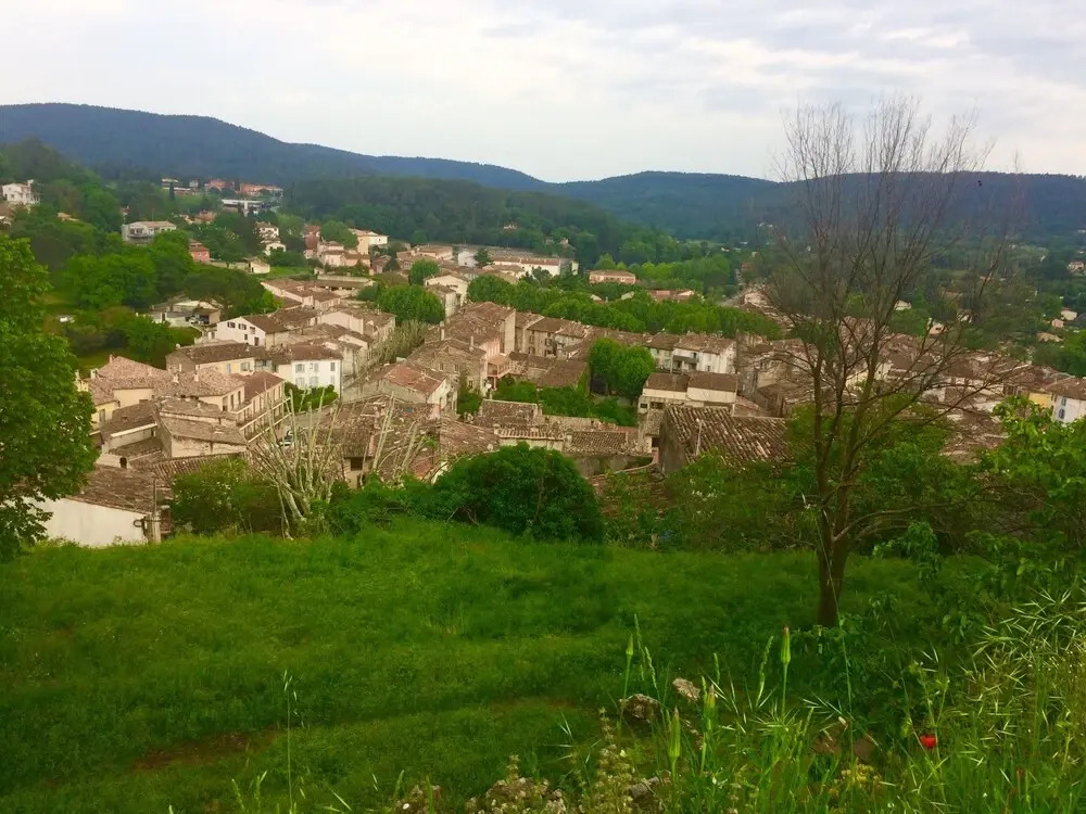 L'Olivier