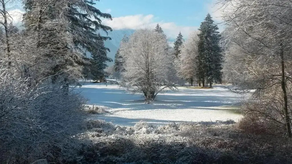 Chalet Königsstand