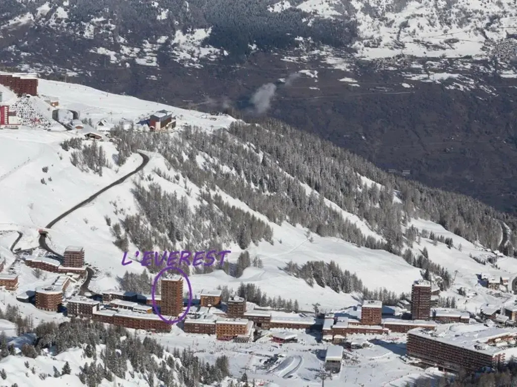 Appartement La Plagne, 2 pièces, 4 personnes - FR-1-455-213