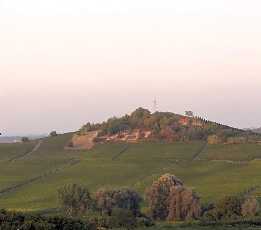 Villa Vecchio