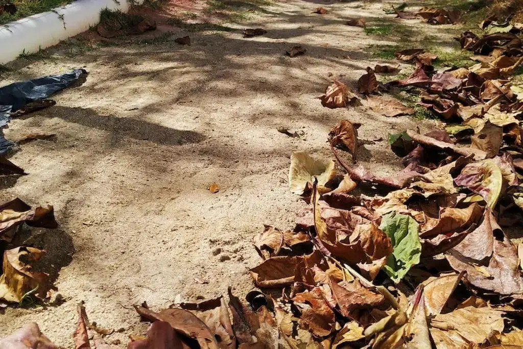 Casa a poucos passos da praia - cod 113