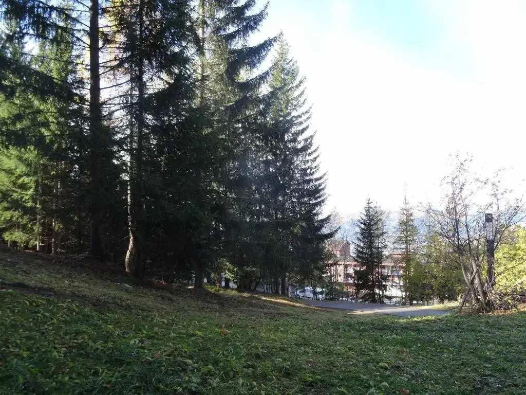 Appartement Les Arcs 1800, 1 pièce, 4 personnes - FR-1-411-278
