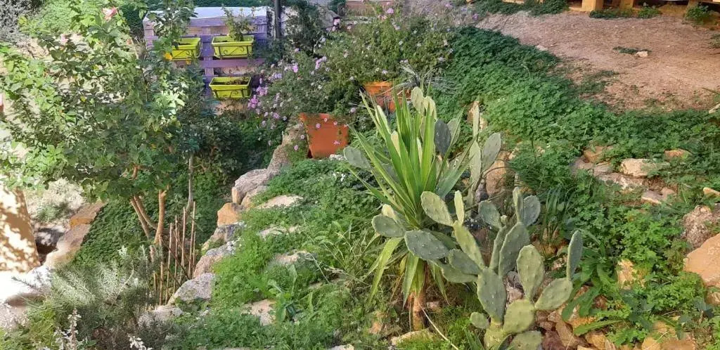 Il moro di Sicilia