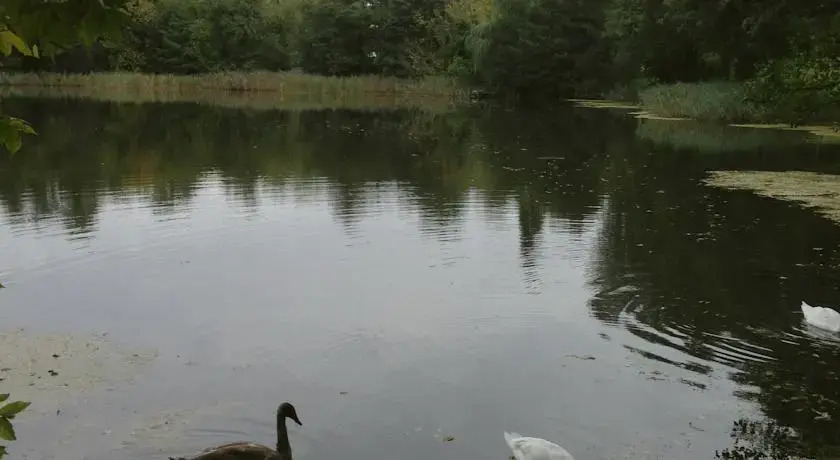 Berlin Grunewald